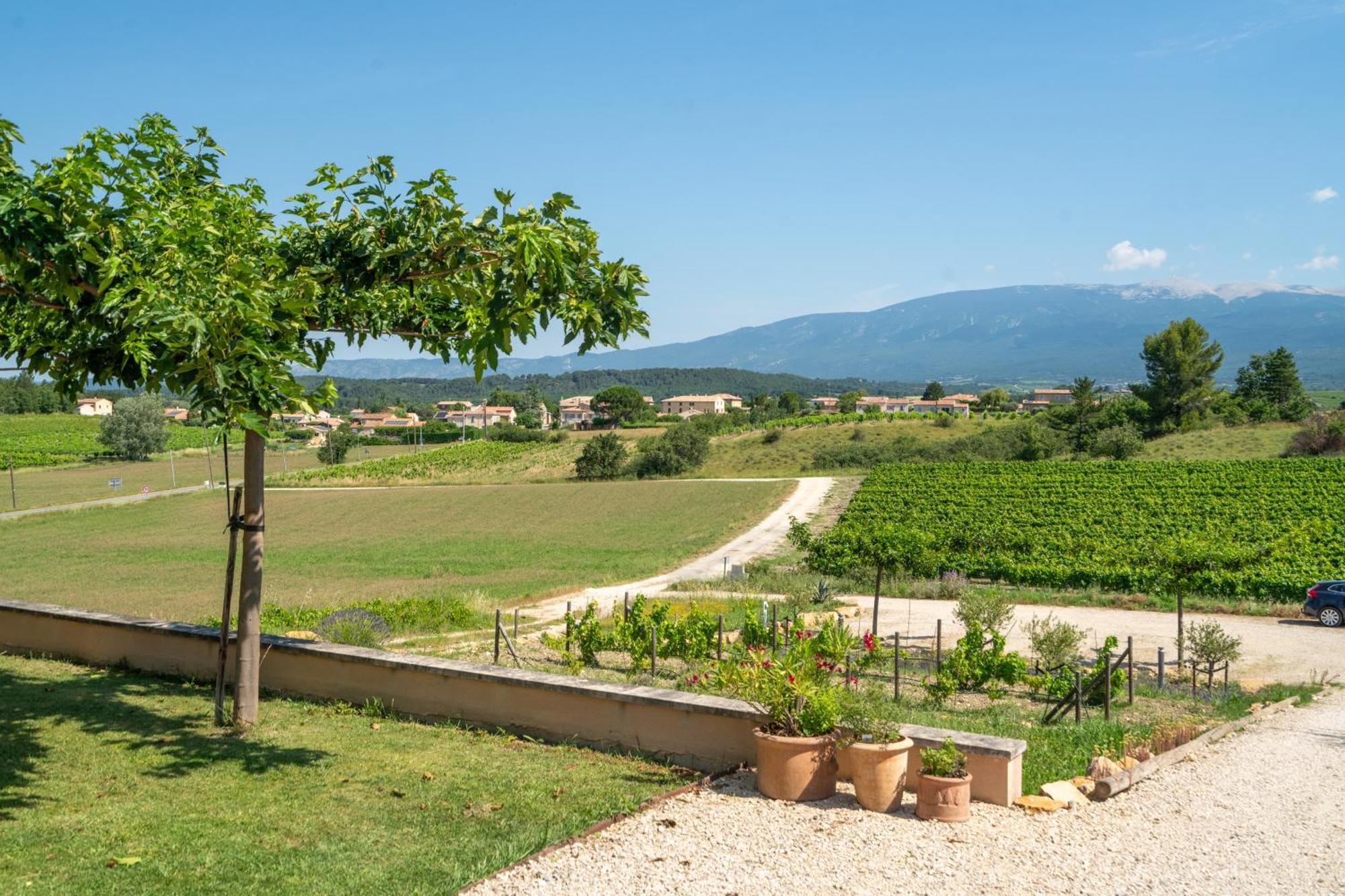 Les Terrasses De Cascavelle Villa Blauvac Exterior foto